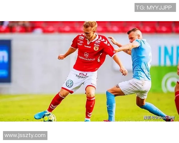 埃尔夫斯与天狼星对决前瞻分析及推荐策略详解